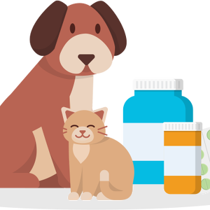 Team Page: URMC Pharmacy